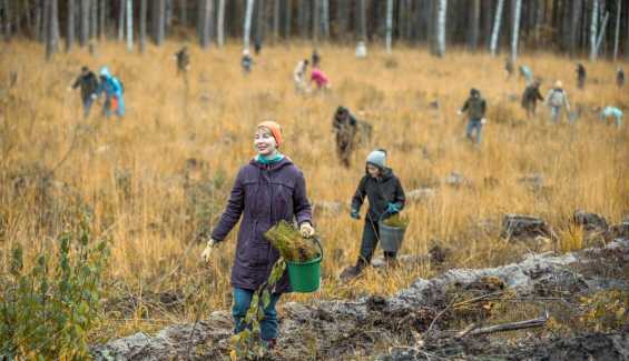 Regenerative Tourism: How Travel Can Heal the Planet and Empower Communities
