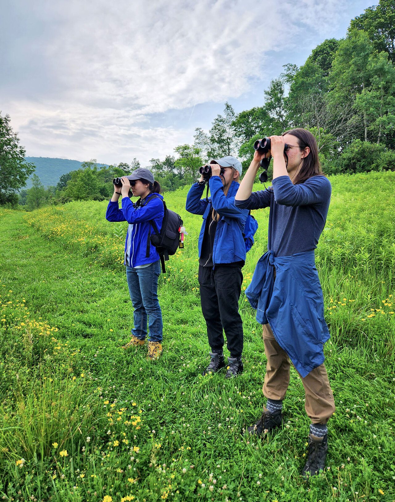 A Third of American Adults Are Birdwatchers, According to Nationwide Survey