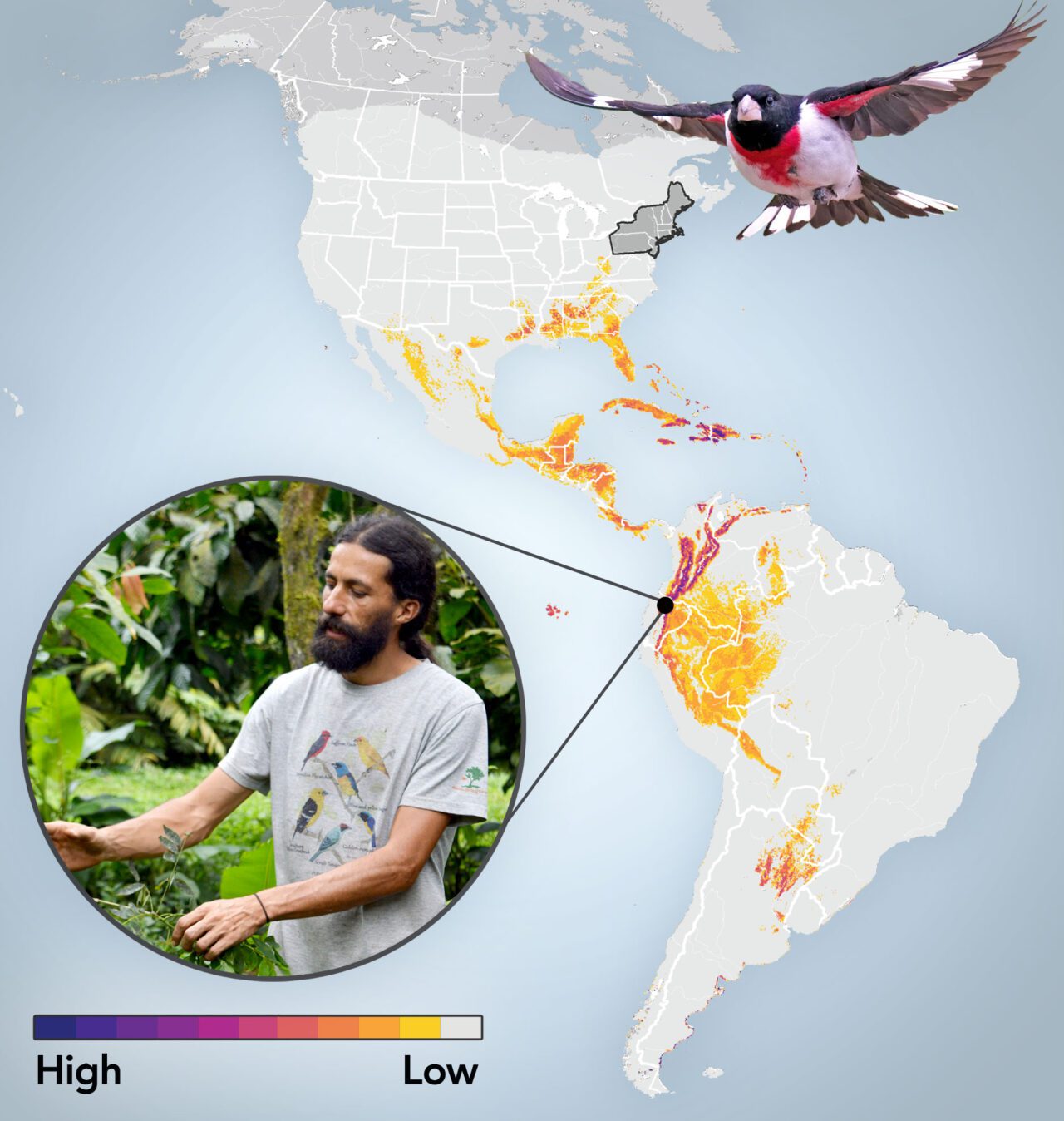 New Migration Maps Help Birders and Scientists Find Their Sister Cities