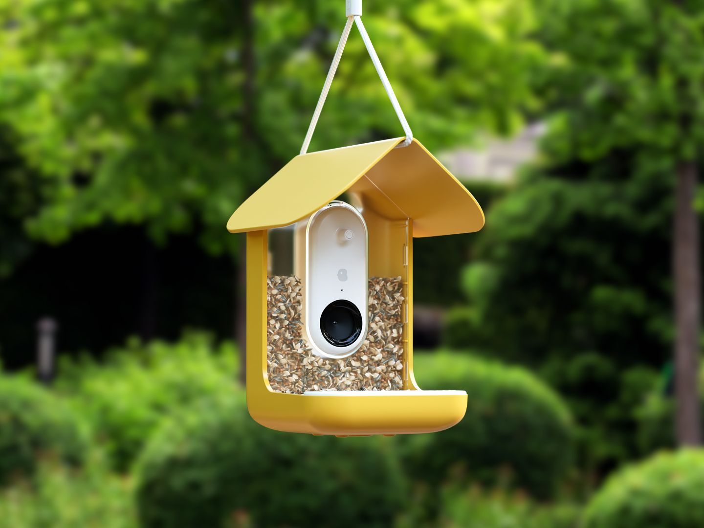 best smart bird feeder