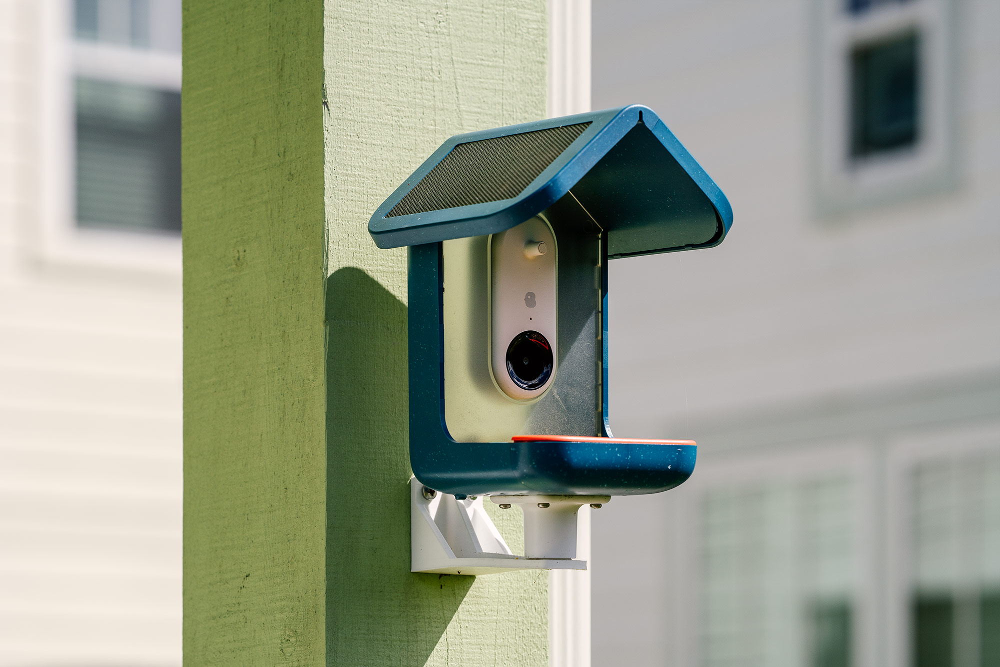 bird buddy smart bird feeder