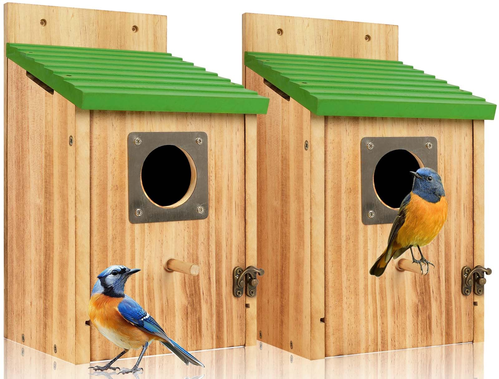 Sparrow Proof a Bluebird House