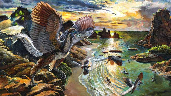 Are Birds Really Descended From Dinosaurs