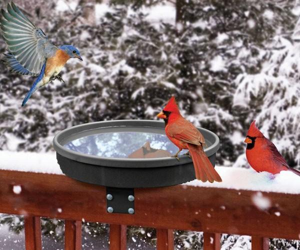 heated bird bath for deck